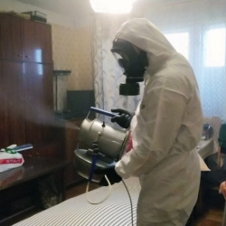 Дезинфекция от клопов в Хорлово