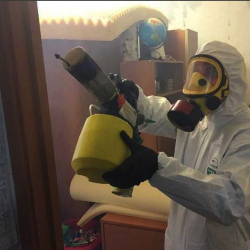 Уничтожение клопов в квартире. Хорлово